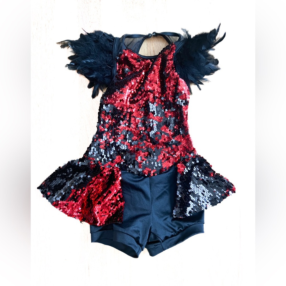 Weissman IC sequin dance costume.